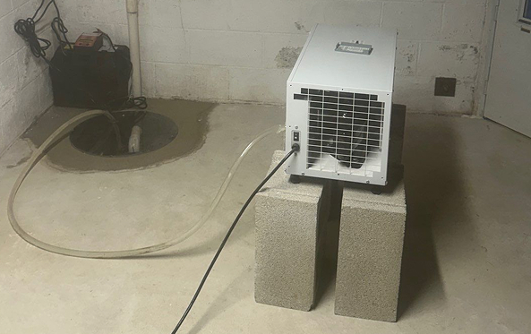 Dehumidification-img